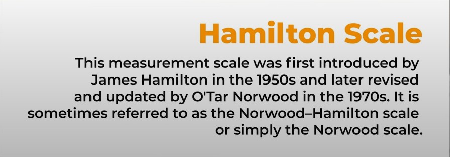 hamilton scale